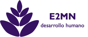 E2MN Logo
